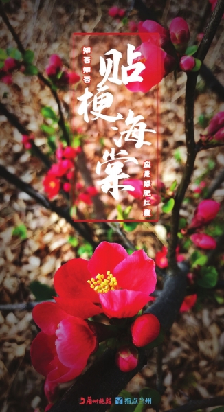 來，跟這些美美的花朵認識一下！