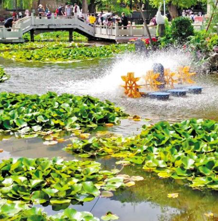 走，到五泉山公園看花展去