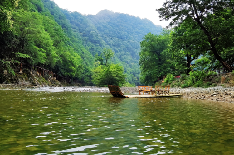 【小隴畫報(bào)·95期】康縣：來陽壩，“森”呼吸，我“氧”你