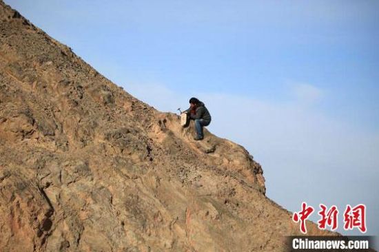 圖為敦煌“80后”畫(huà)家張杰龍?jiān)诙鼗腿Ｉ嚼锊杉V石顏料。(資料圖)受訪者供圖