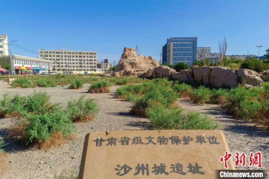 圖為沙州郡城遺址公園古遺址。　王斌銀 攝