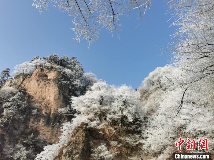 圖為藍天下霧凇籠罩山脈?！⌒煺袢A 攝
