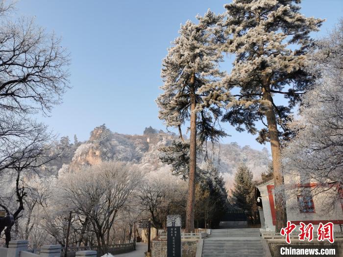 圖為崆峒山霧凇景色美不勝收?！⌒煺袢A 攝
