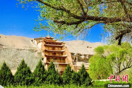 4月的敦煌莫高窟景區(qū)春意盎然。(資料圖) 王斌銀 攝