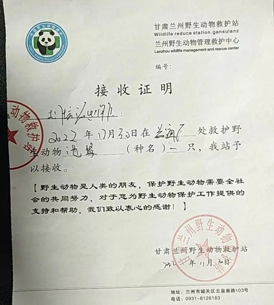 受到救助的池鷺被蘭州野生動(dòng)物保護(hù)站接收。（蘭州市公安局七里河分局供圖）
