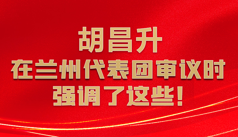 圖解|胡昌升在蘭州代表團審議時強調了這些！