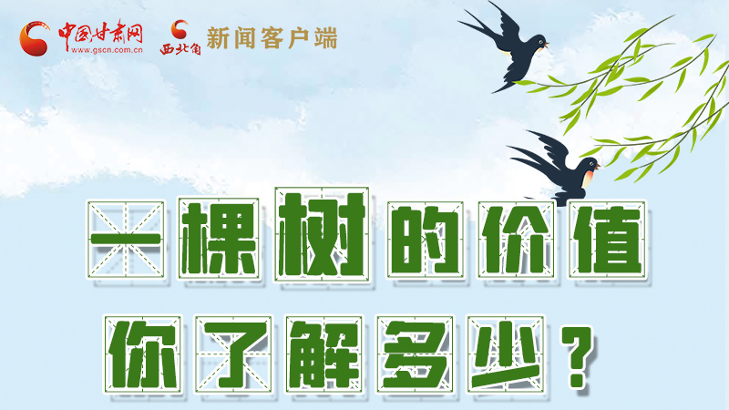 圖解|一棵樹的價值你了解多少?來看！