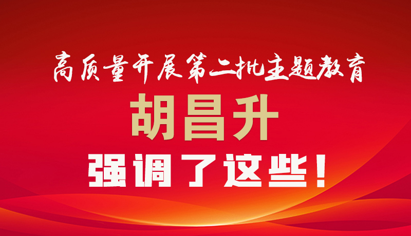 圖解|高質(zhì)量開展第二批主題教育 胡昌升強(qiáng)調(diào)了這些！