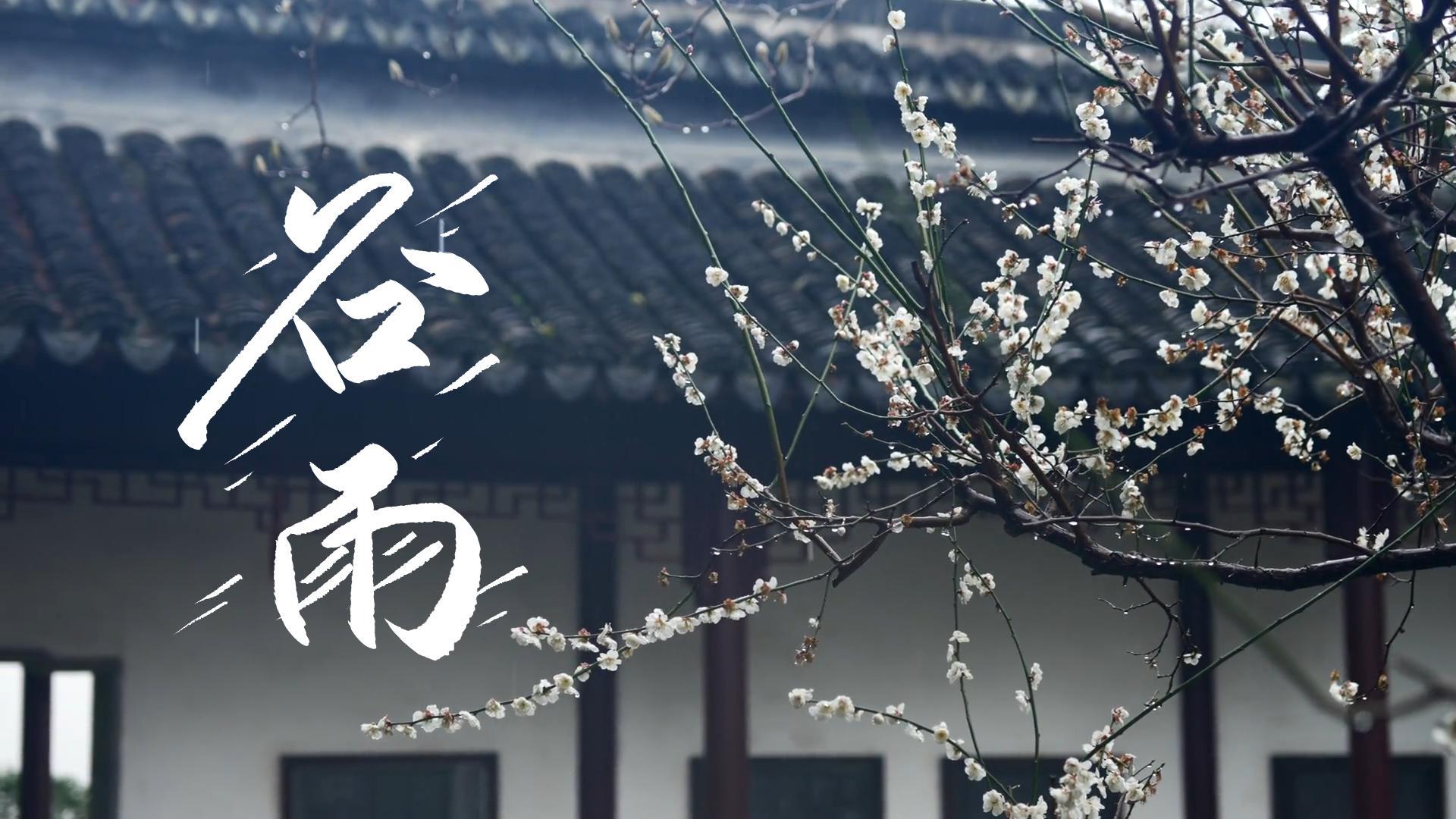 【節(jié)氣里的大美甘肅】谷雨，春天的最后一次回眸