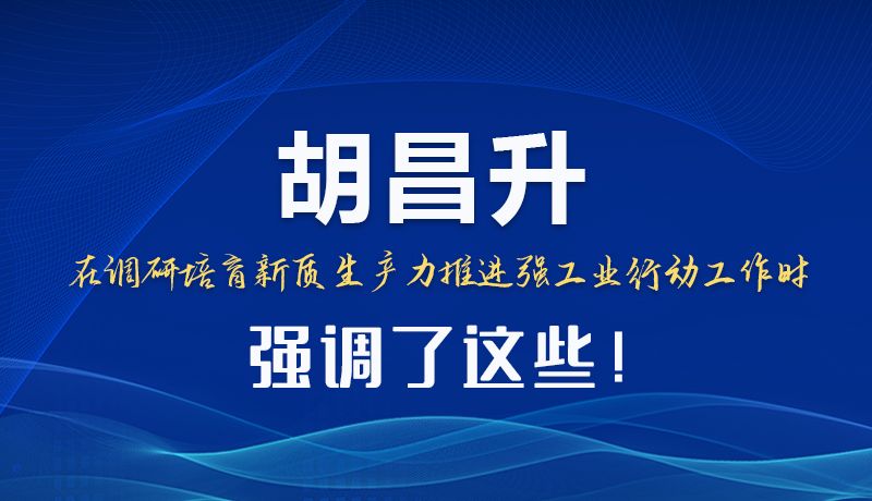 圖解|胡昌升在調研培育新質生產力推進強工業(yè)行動工作時強調了這些！