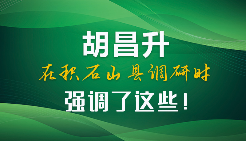 圖解|胡昌升在積石山縣調(diào)研時強(qiáng)調(diào)了這些！