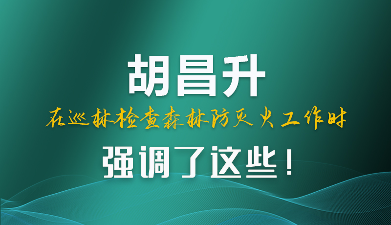圖解|胡昌升在巡林檢查森林防滅火工作時強調了這些！