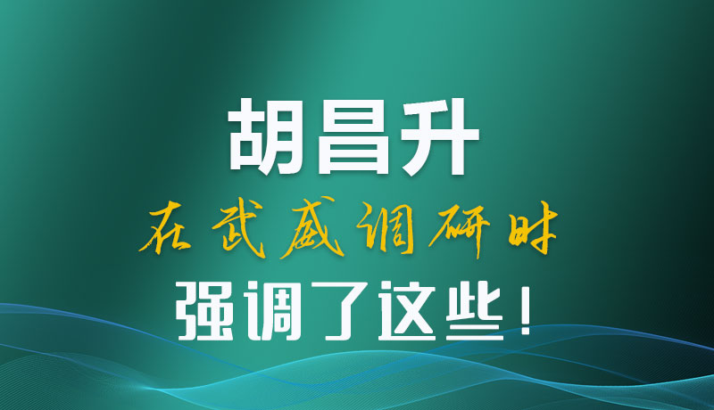 圖解|胡昌升在武威調(diào)研時(shí)強(qiáng)調(diào)了這些！