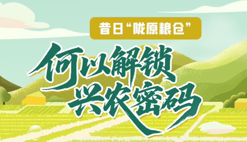 【理響中國(guó)·話(huà)隴點(diǎn)睛(3)】昔日“隴原糧倉(cāng)”,何以解鎖“興農(nóng)密碼”