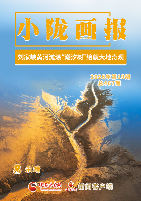 【小隴畫報(bào)·467期】劉家峽黃河灘涂“潮汐樹”繪就大地奇觀